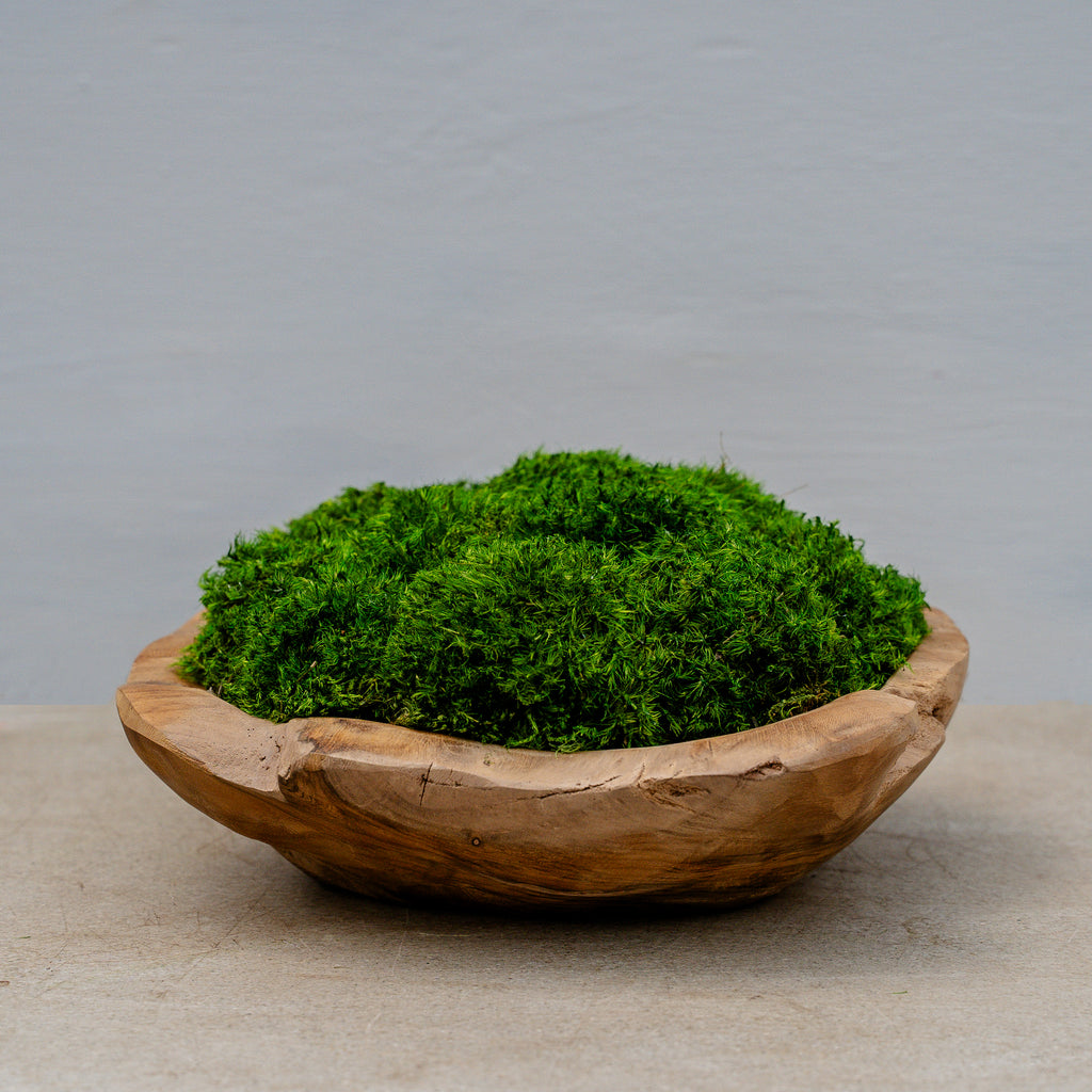 MOSS CIRCLE　FIX Yale　thirtytwo　BURTONセット Arrangement_08_Organic_Teak_Bo