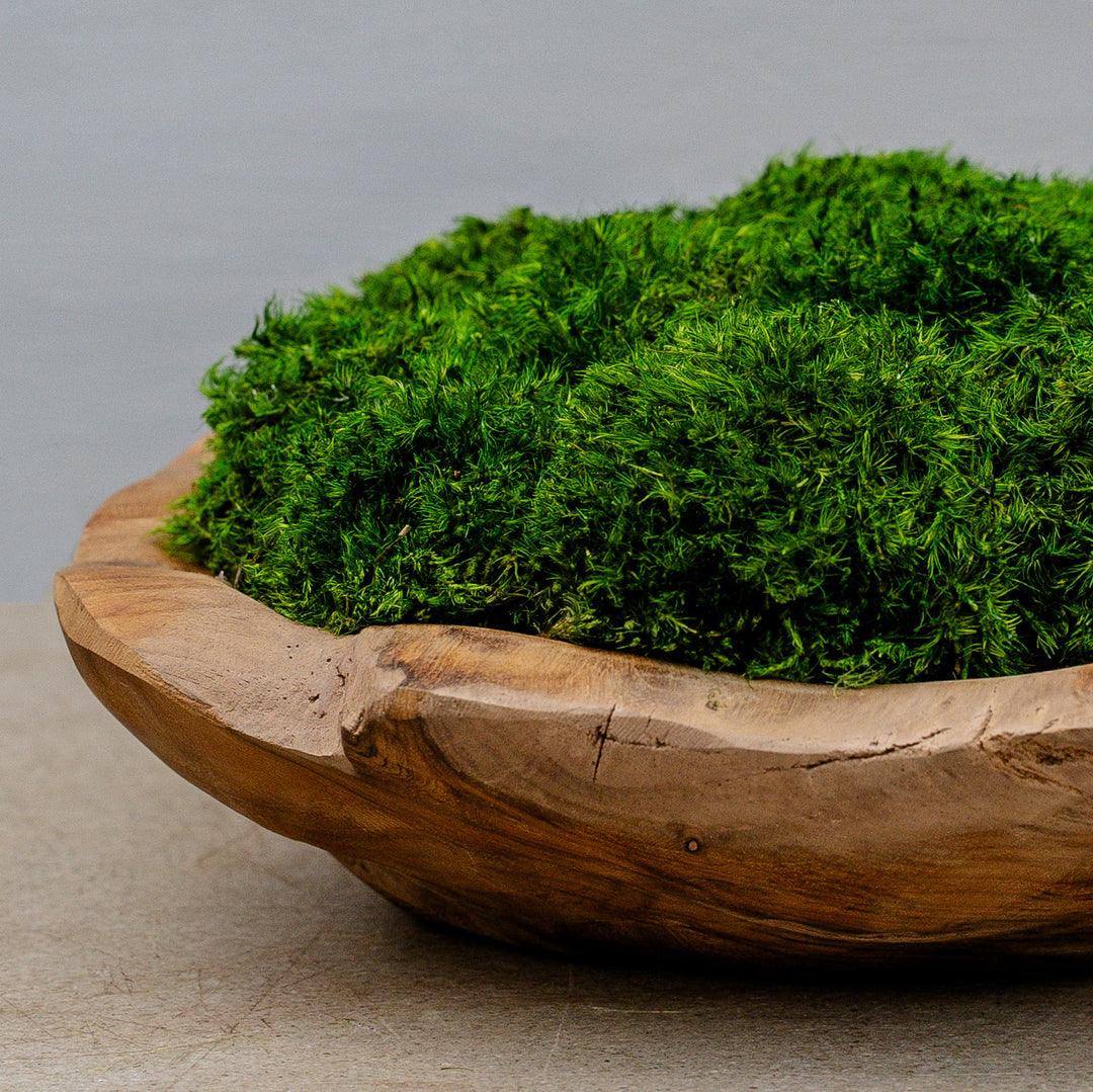 Organic Teak Bowl with Statement Moss