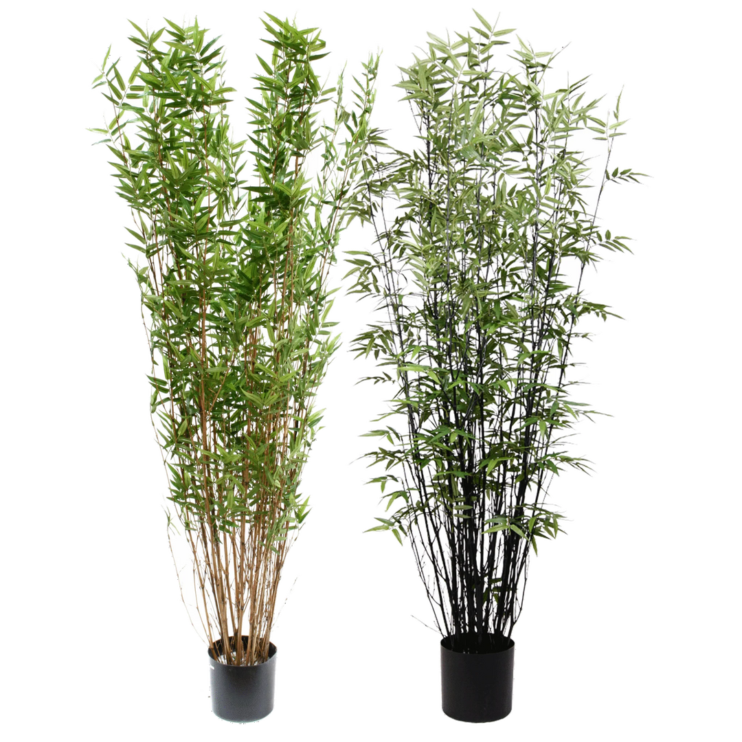 Bamboo Tree (Faux)