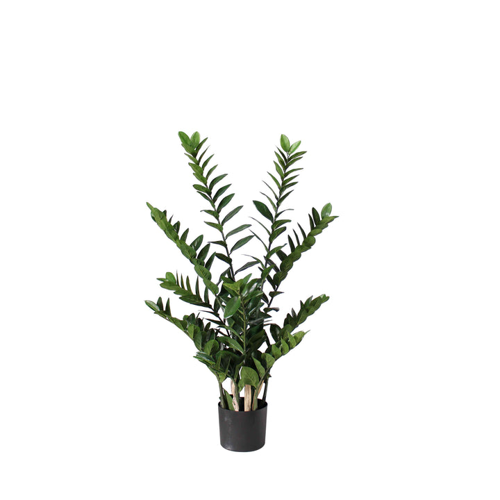 ZZ Plant (Faux)