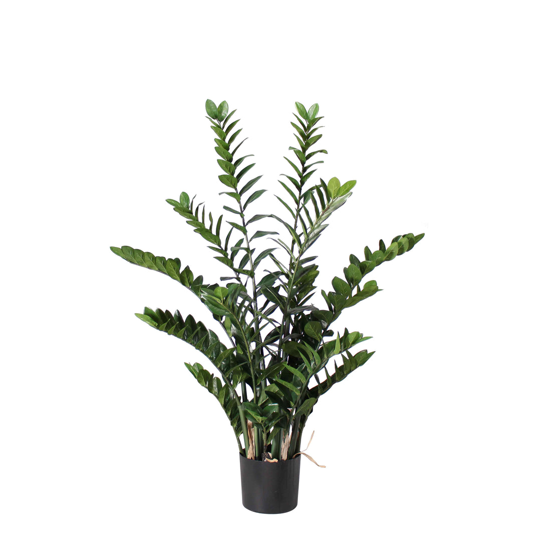 zz plant faux ZZ Plant (Faux)