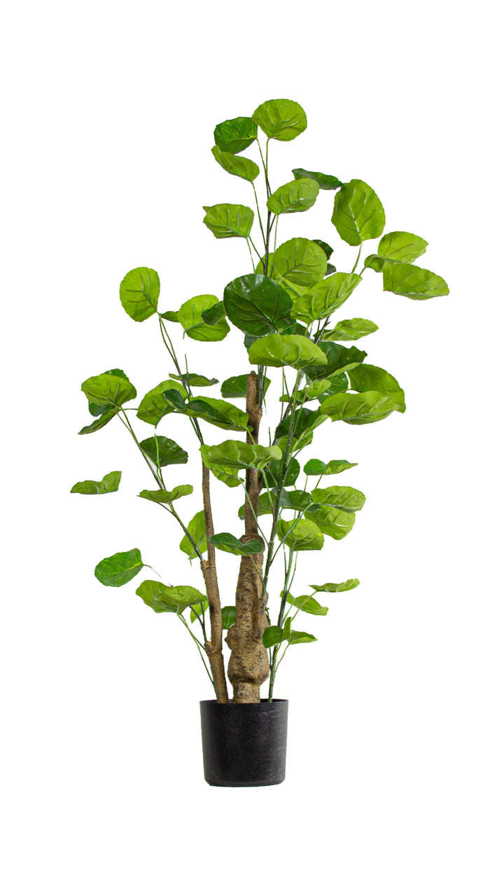 Silver Dollar Eucalyptus Tree (Faux)