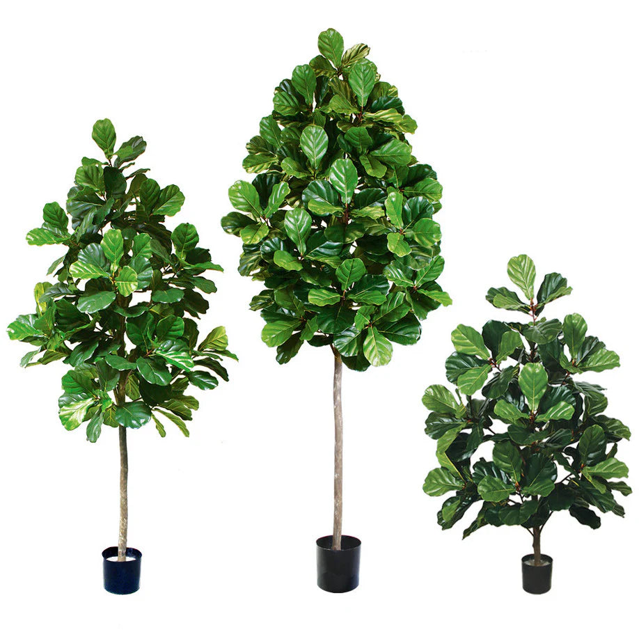 artificial fiddle leaf fig trees Fiddle Leaf Fig Lollipop (Faux) 8 ft