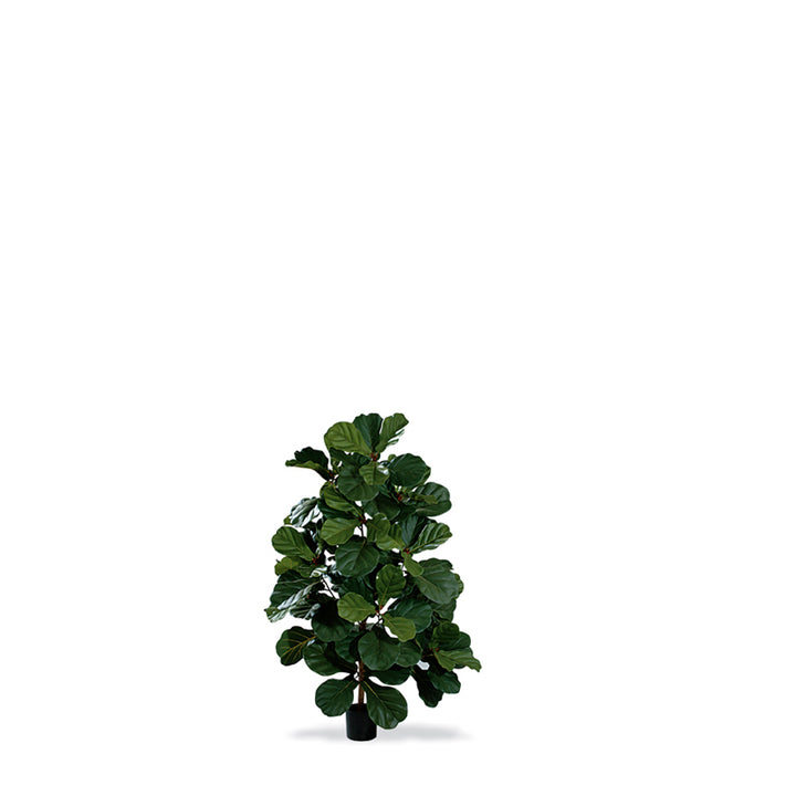 Fiddle Leaf Fig Lollipop (Faux)
