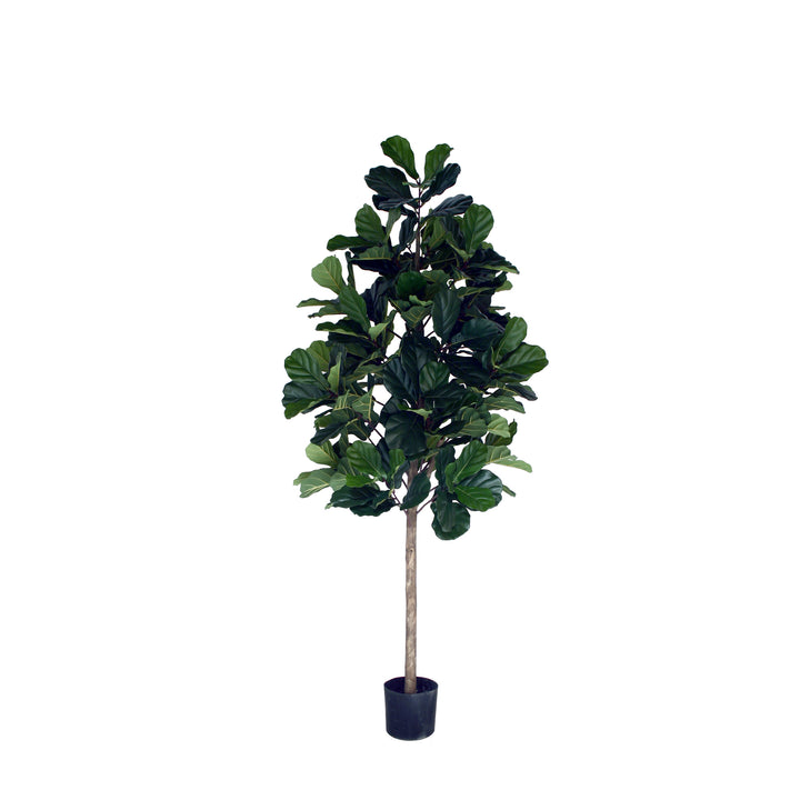 Fiddle Leaf Fig Lollipop (Faux)