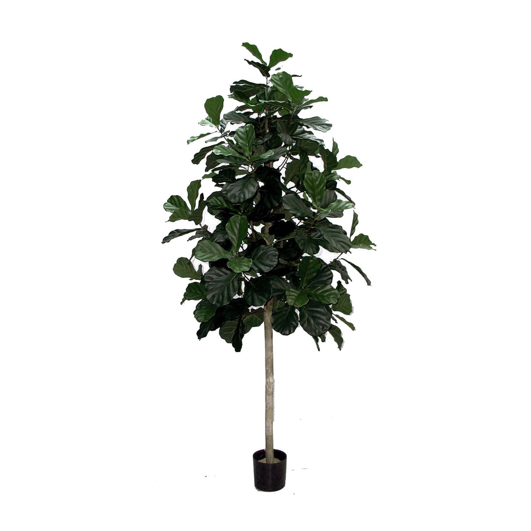faux fiddle leaf fig stem Fiddle Leaf Fig Lollipop (Faux) 4 ft