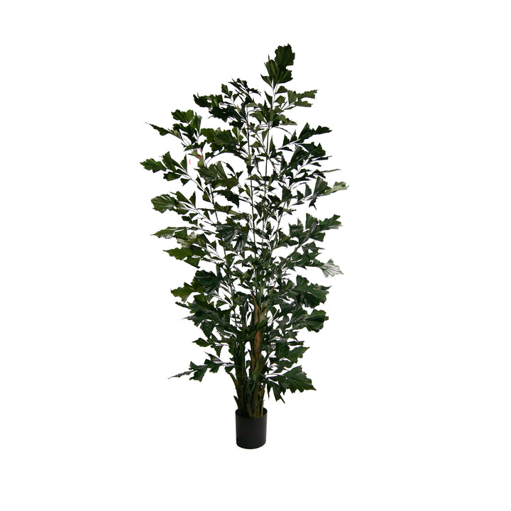 Fishtail Palm (Faux)