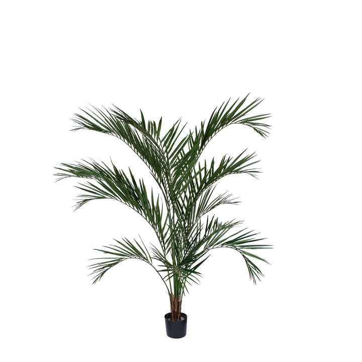 Areca Palm (Faux)
