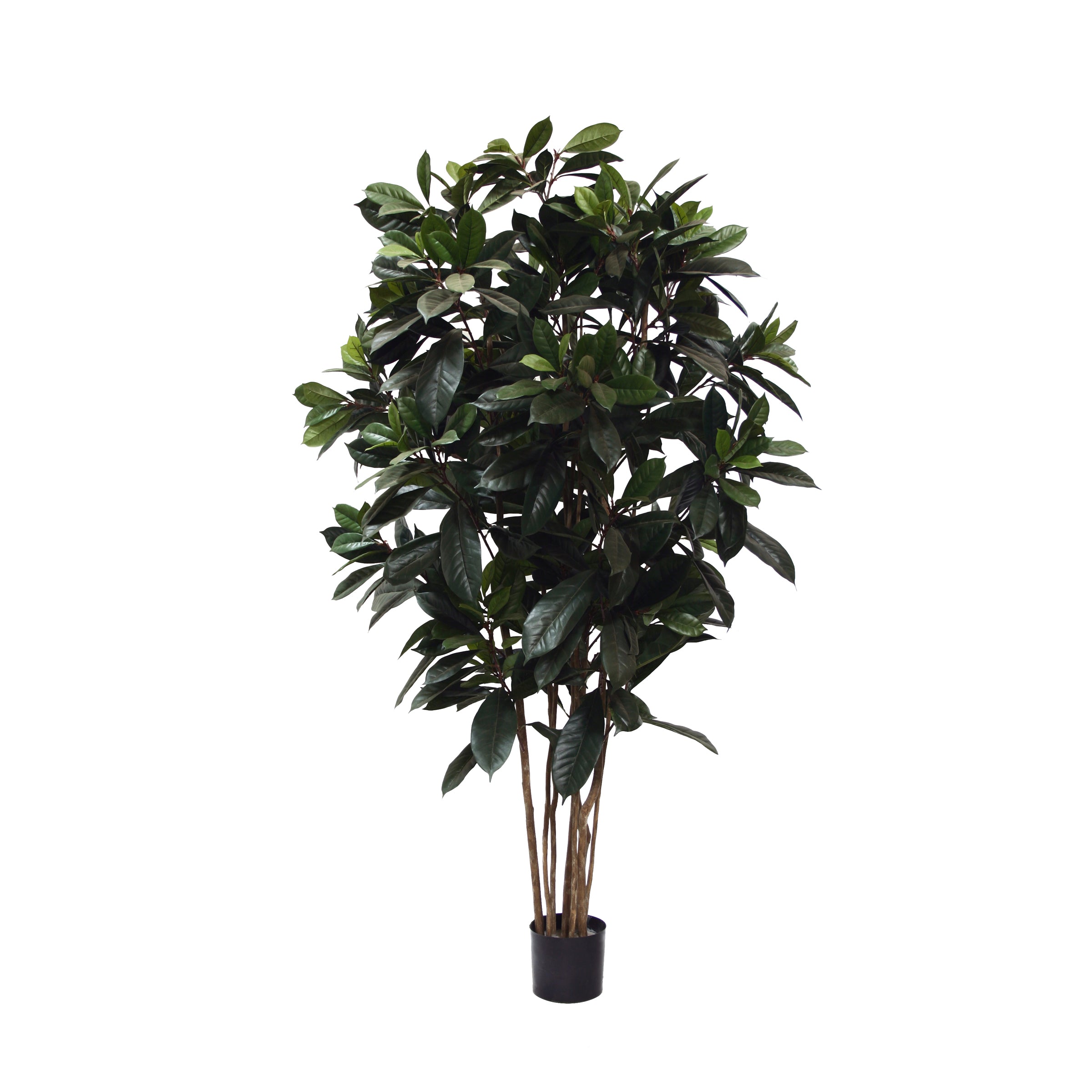 Ficus Tree (Faux) – Rolling Greens