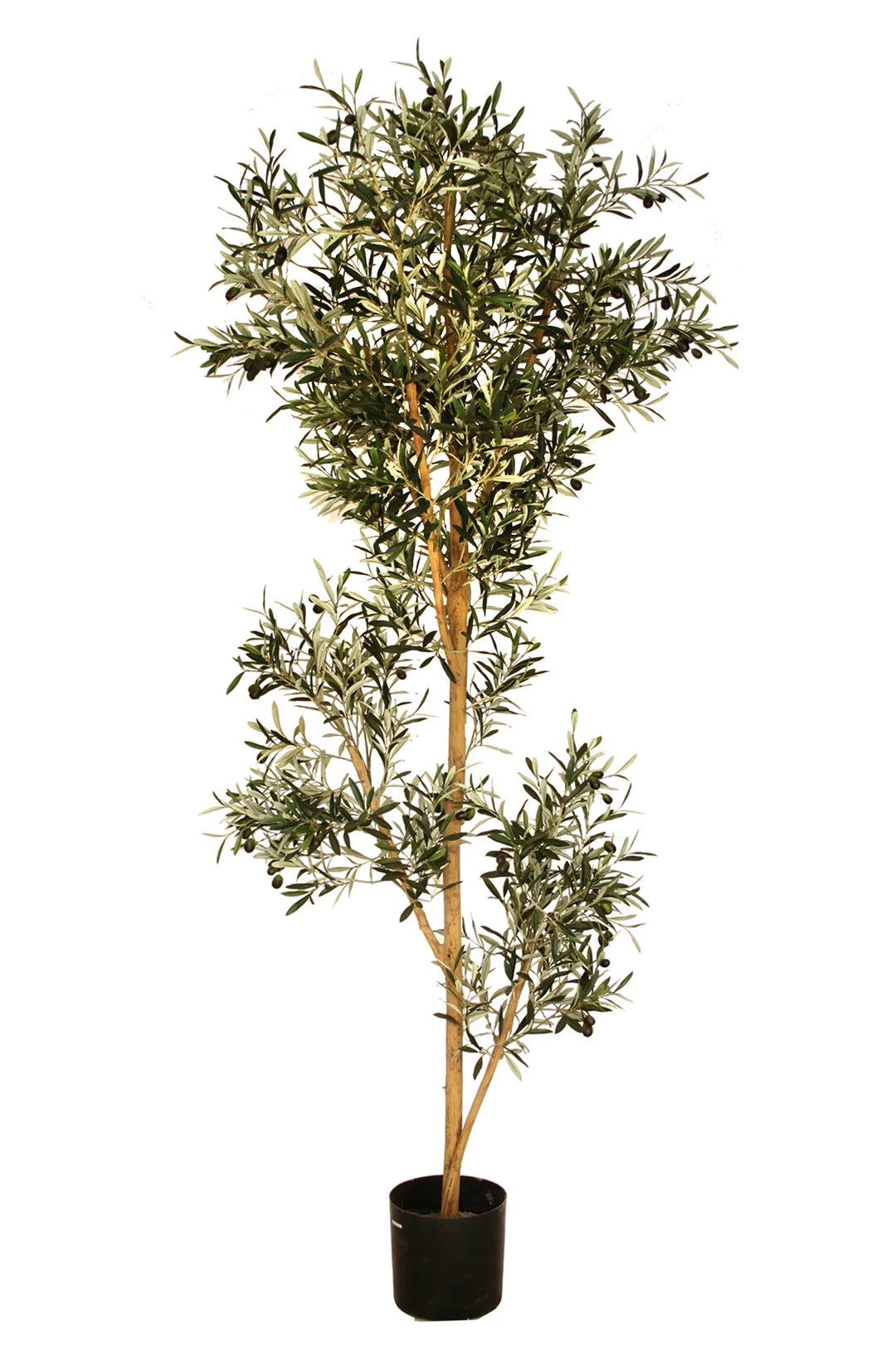 Italian Olive Tree (Faux)