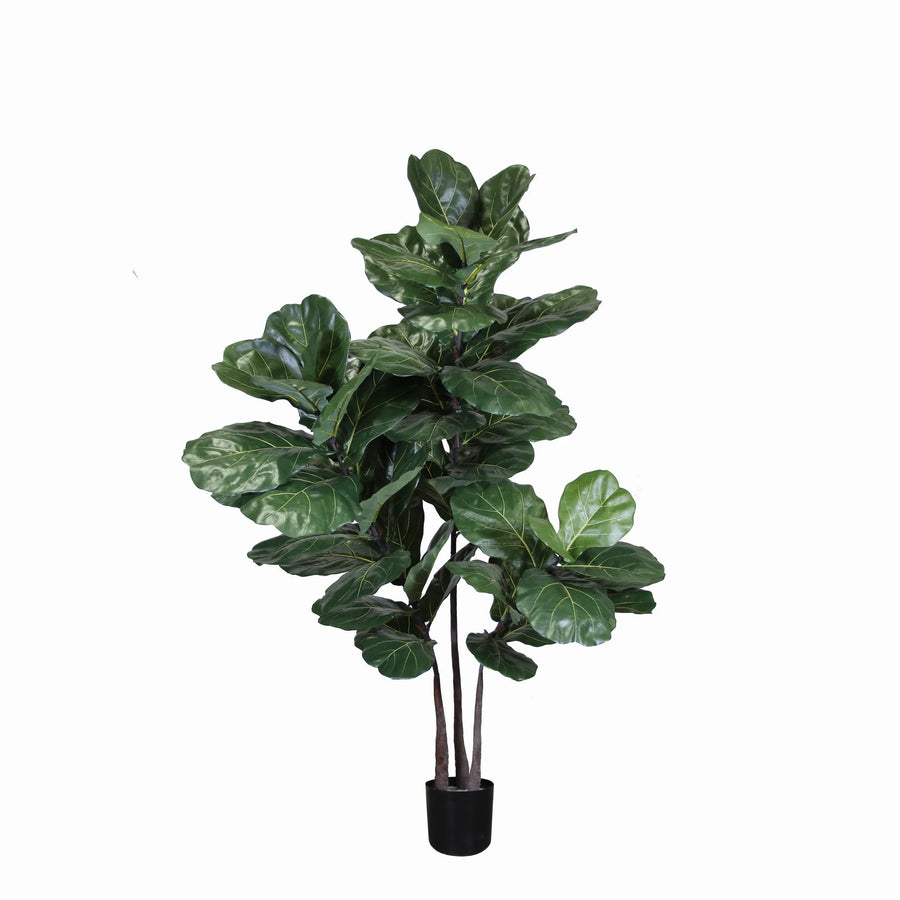 brazilian fiddle leaf fig tree Fiddle Leaf Fig Brazilian (Faux)