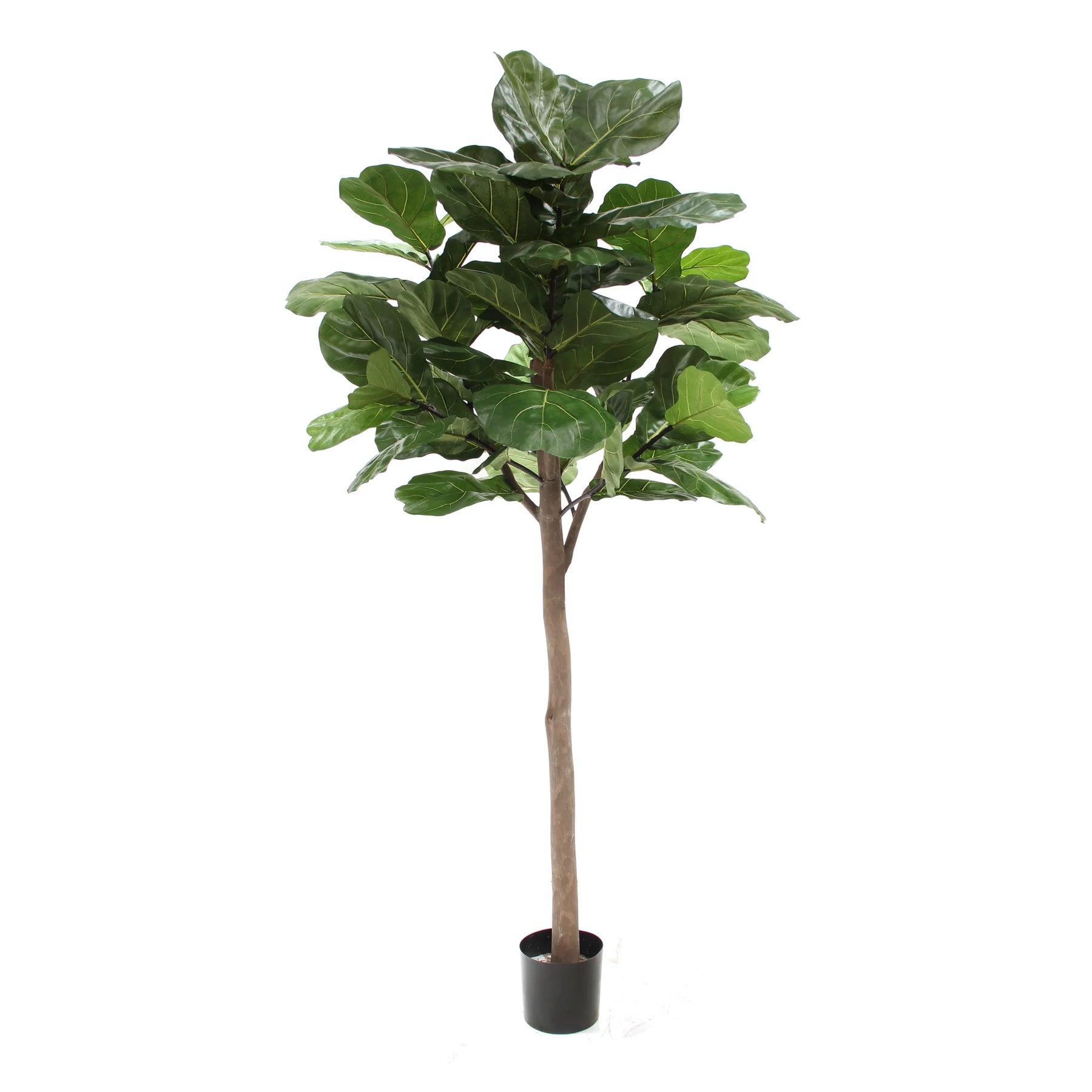 large fiddle leaf fig tree faux Fiddle Leaf Fig Tree