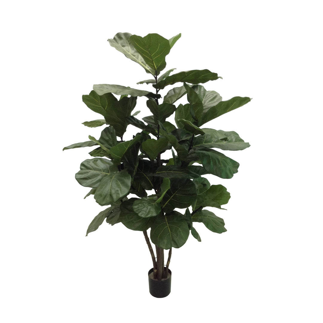faux fiddle leaf fig tree 8ft Fiddle Leaf Fig Brazilian (Faux)