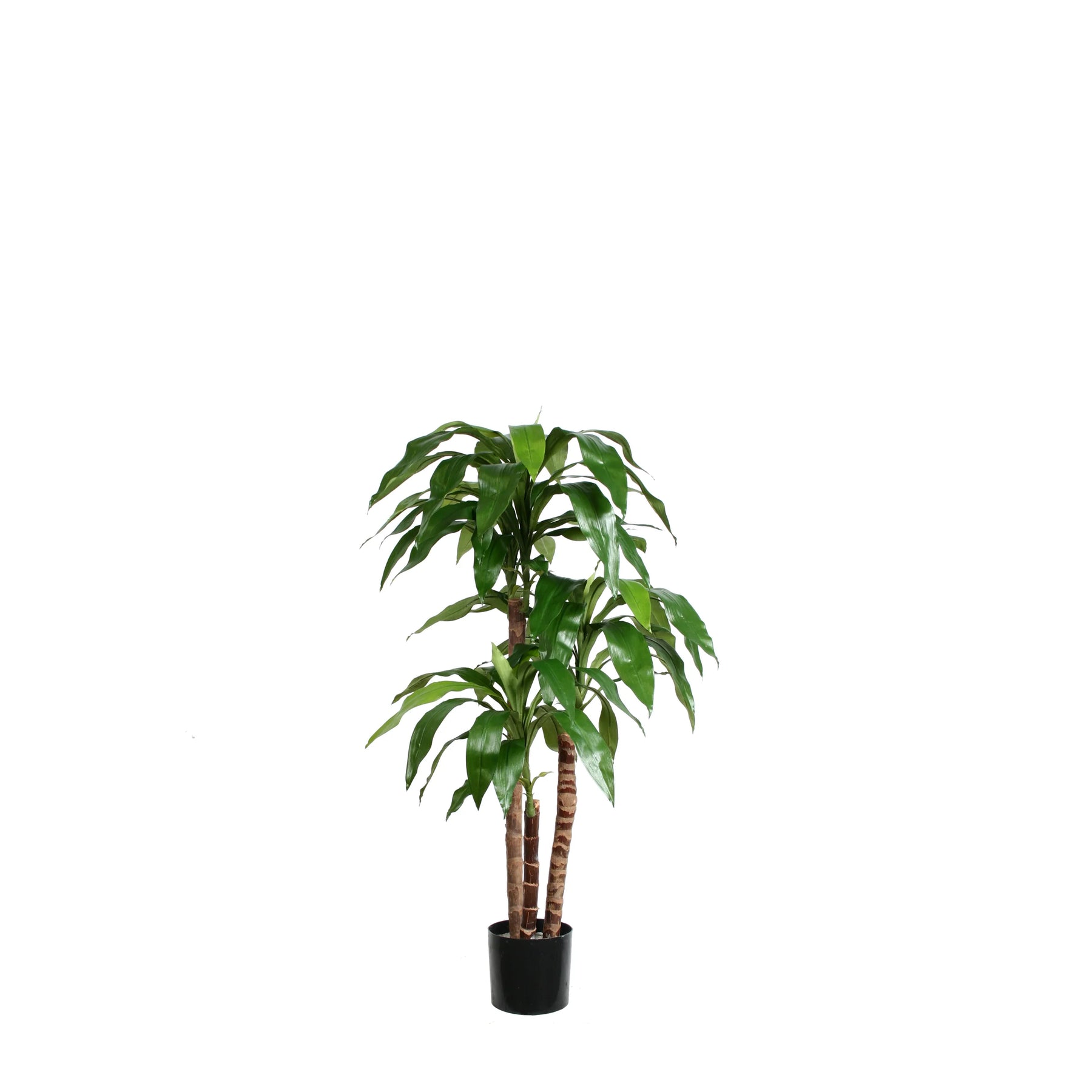faux dracaena plant Dracaena Plant (Faux) 3.5 ft