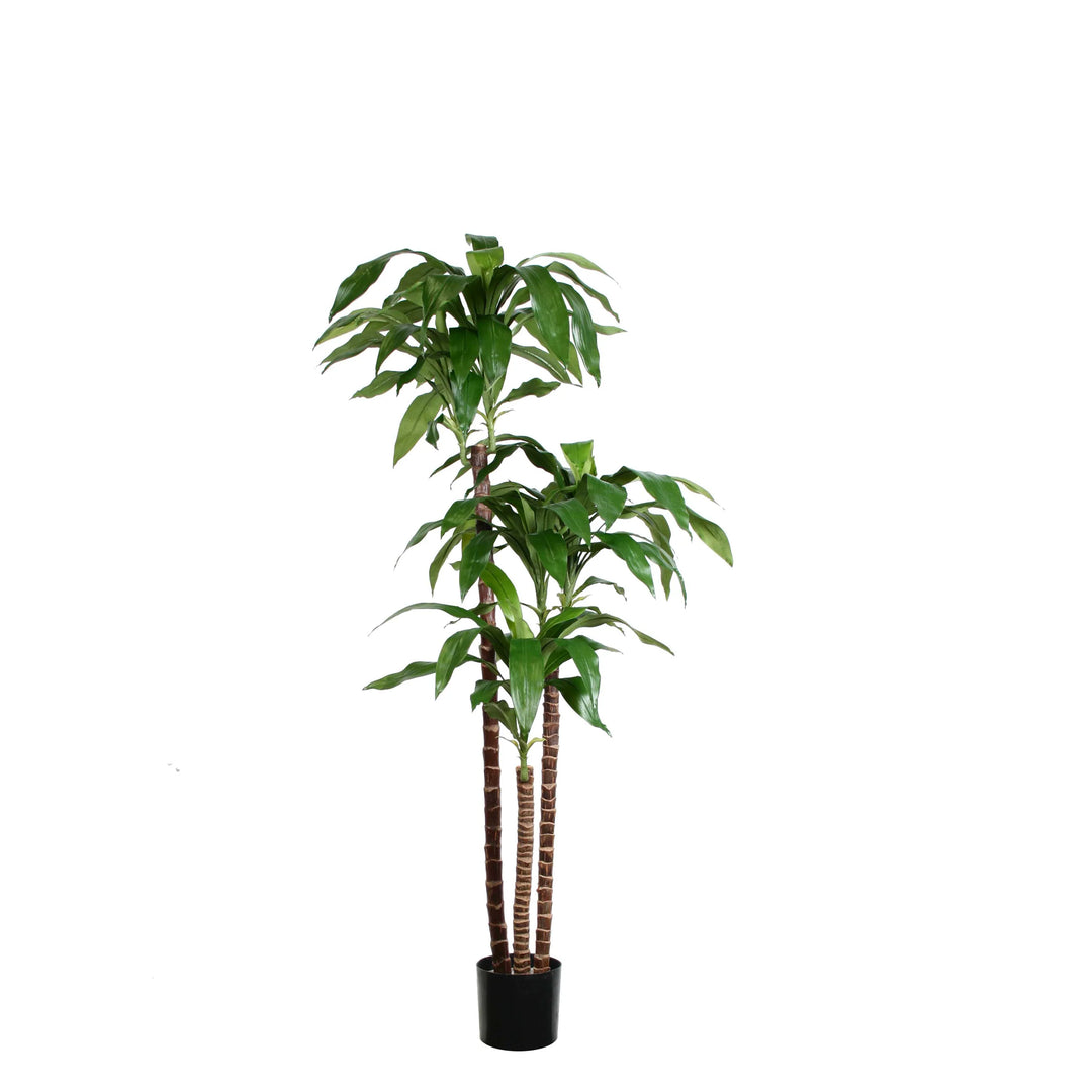 dracaena fake plant Dracaena Plant (Faux) 3.5 ft