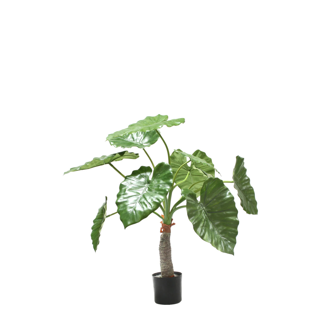 elephant ear faux plant Elephant Ear Plant (Faux)