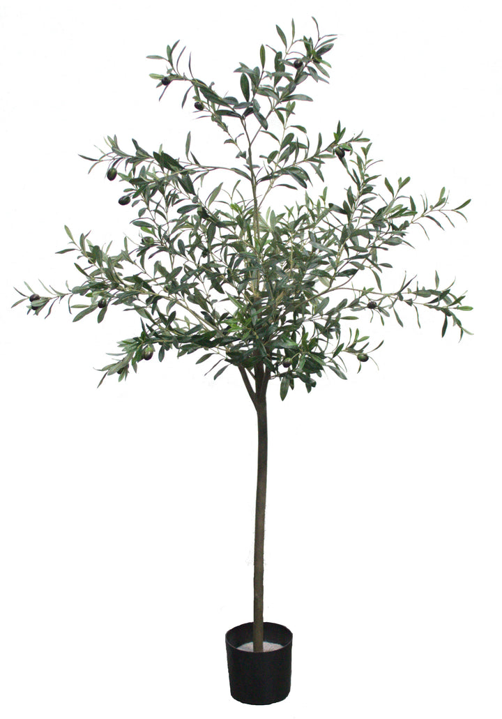 Olive Tree (Faux)