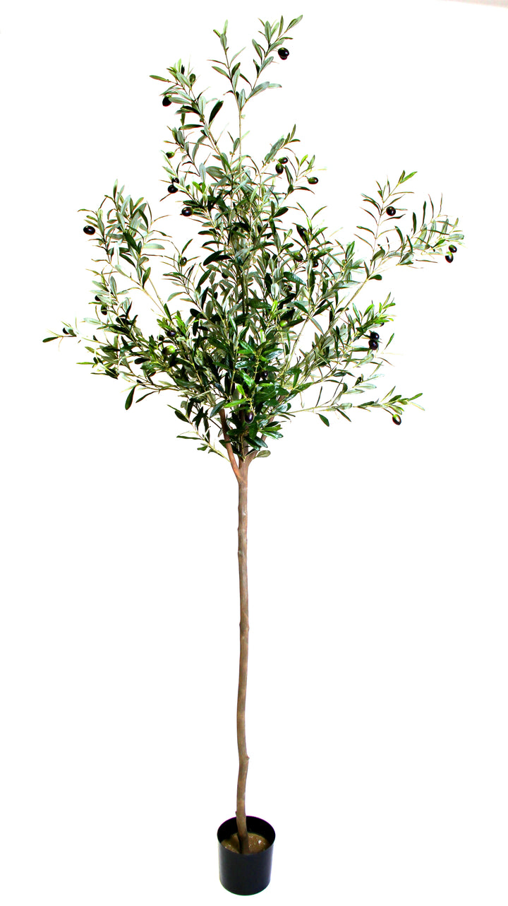Olive Tree (Faux)