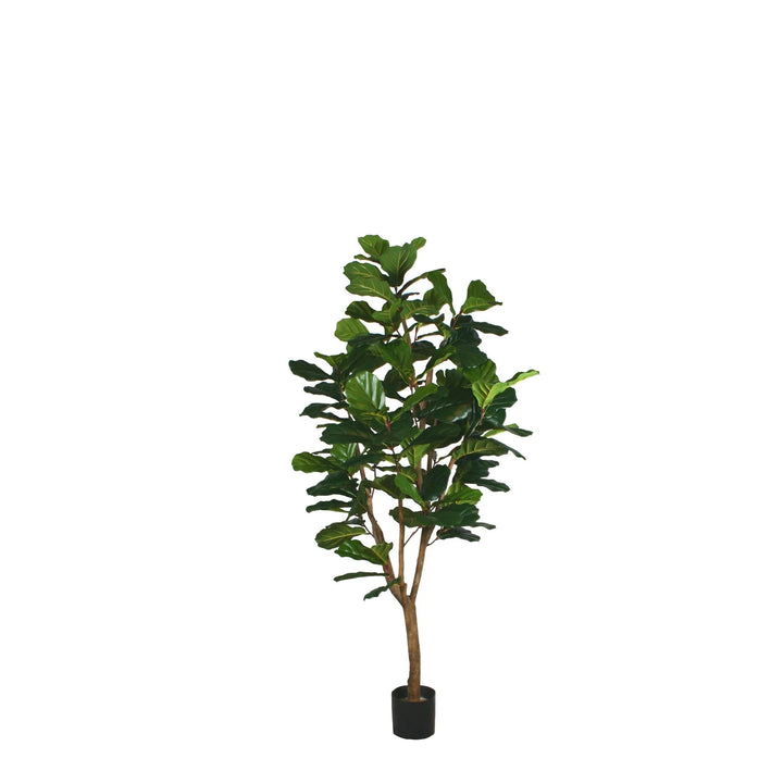 Fiddle Leaf Fig (Faux)