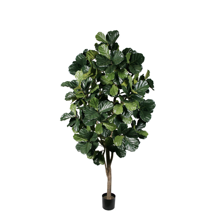 Fiddle Leaf Fig (Faux)