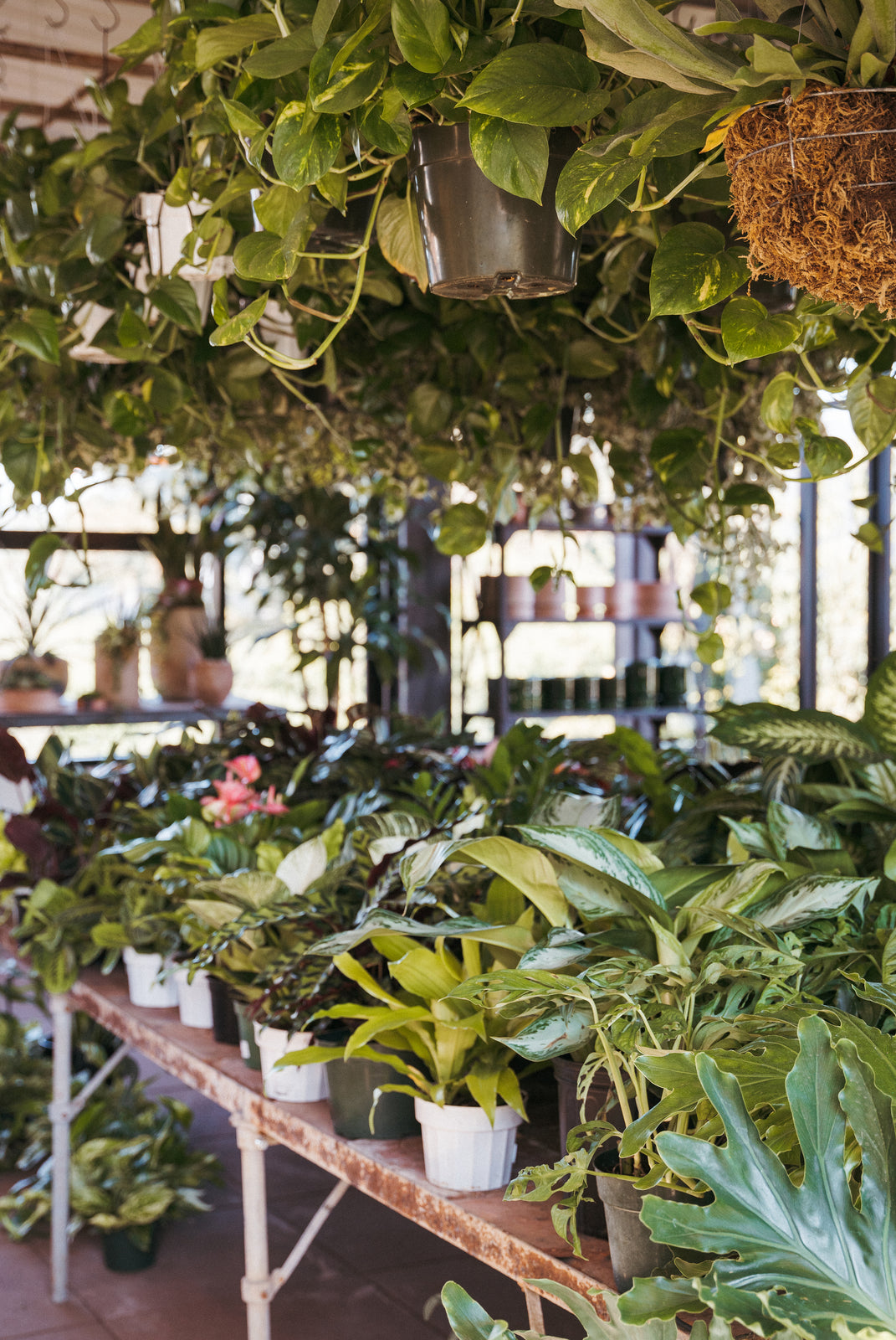 Rolling Greens Studio City