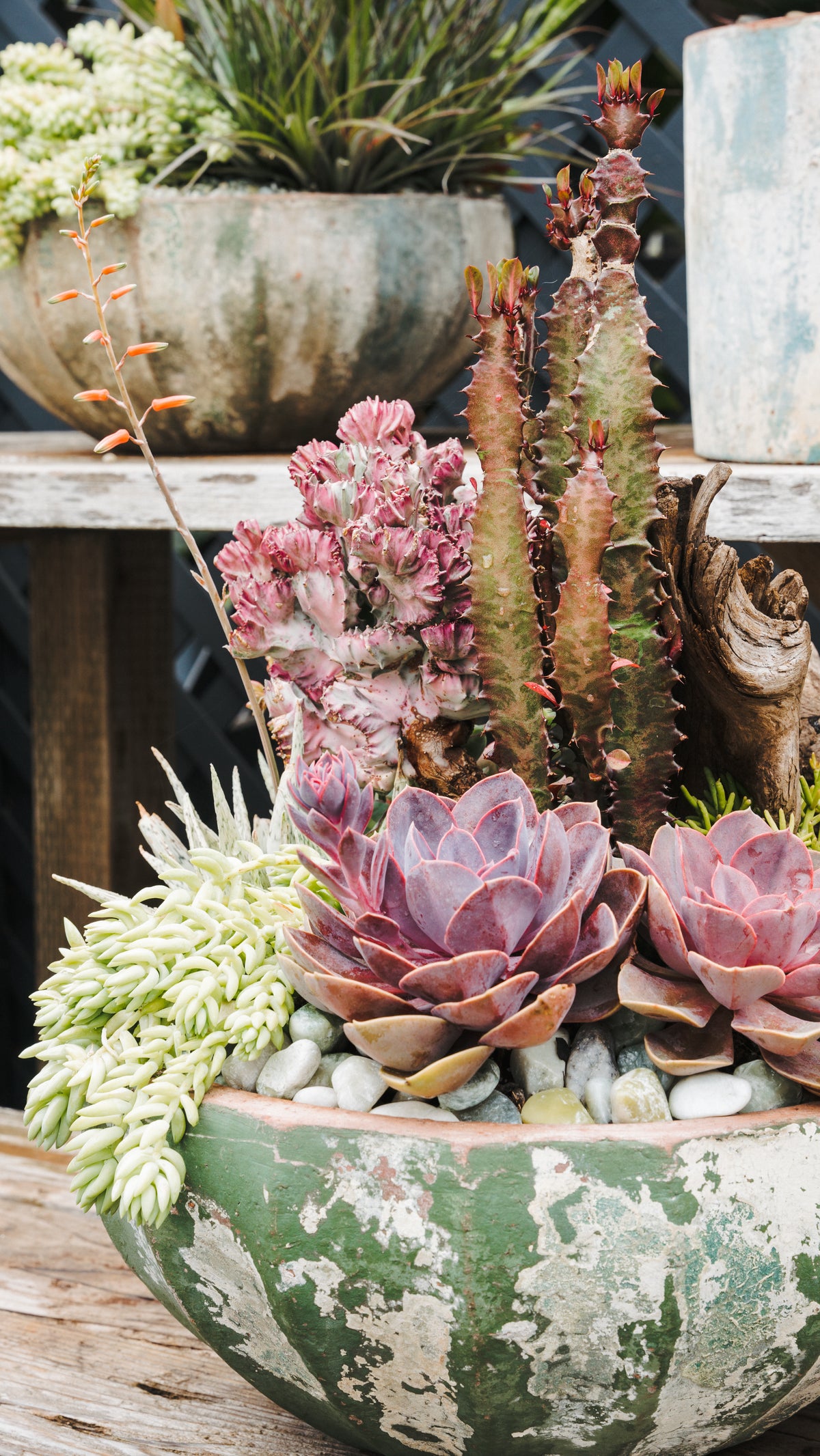 succulent stand with shade sheet Sunnydaze 3-Tiered Fir Wood Plant Stand with Chalkboard 44.25