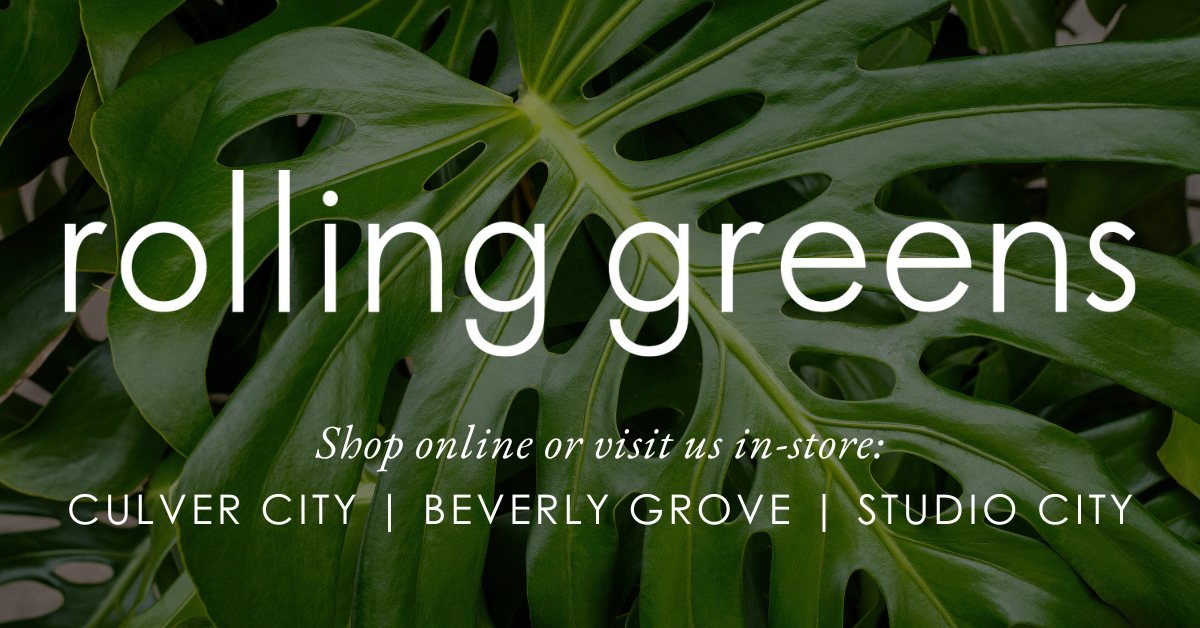 Shop All – Tagged "Cluster"– Rolling Greens