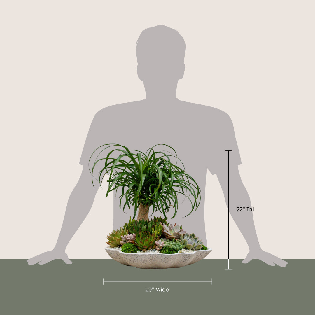 Desert Oasis Arrangement