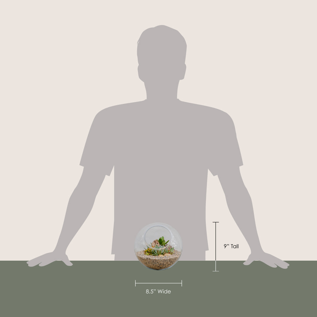 Desert Terrarium