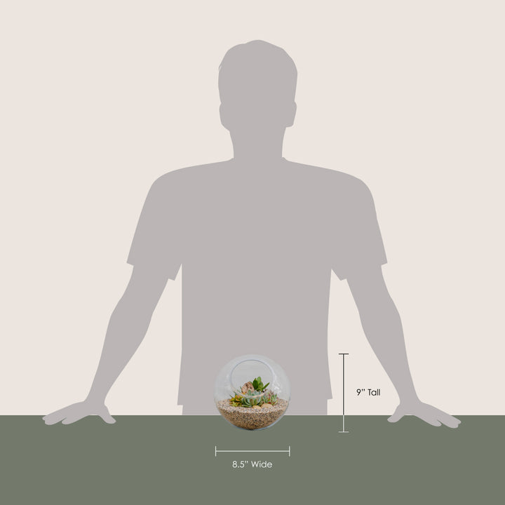 Desert Terrarium