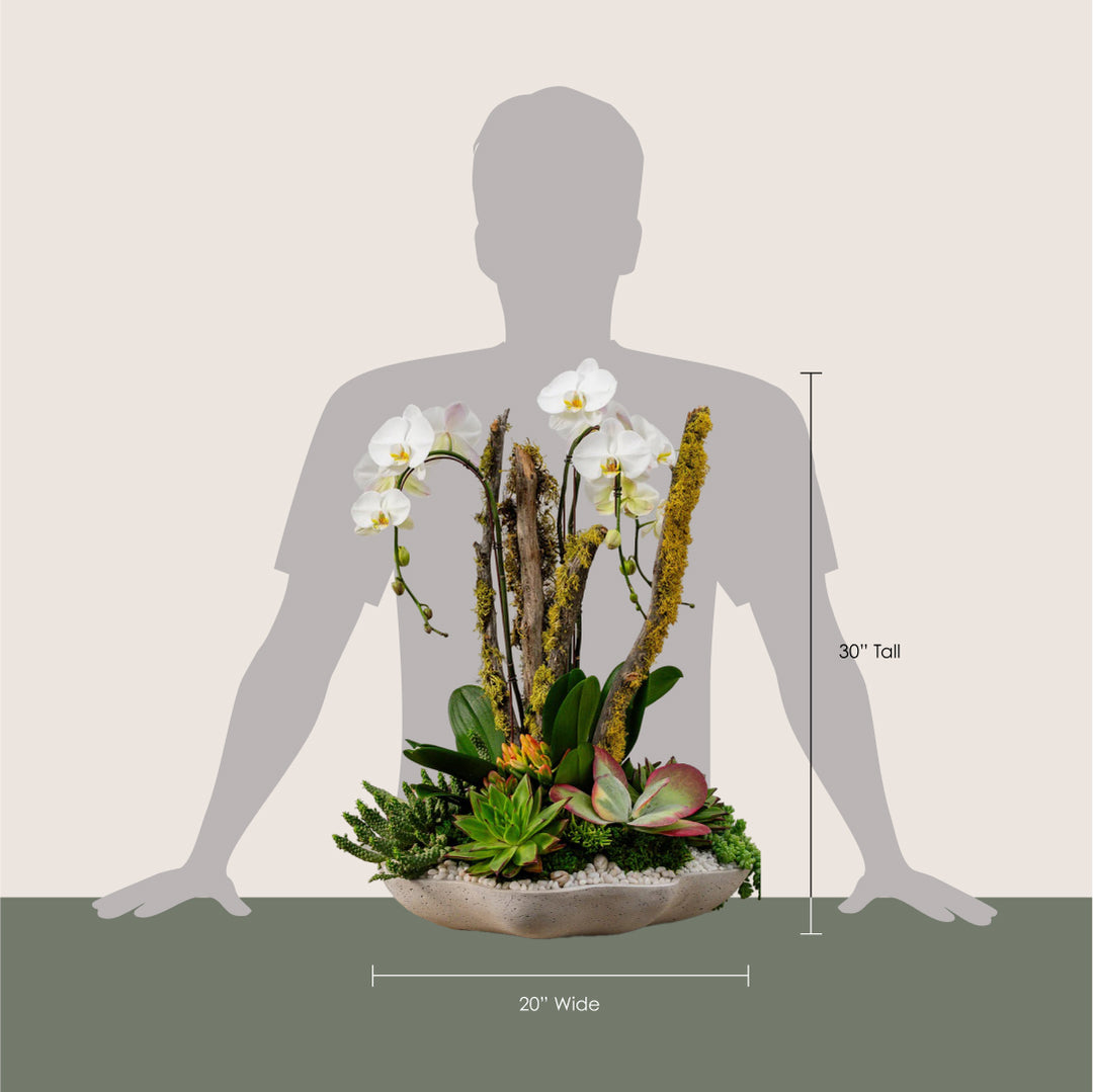 Lichen Branch and Waterfall Arrangement
