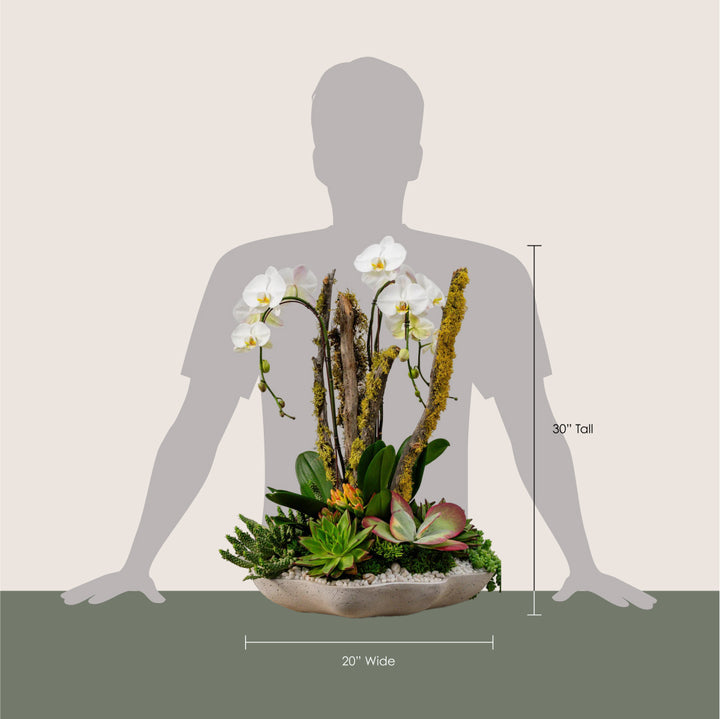 Lichen Branch and Waterfall Arrangement