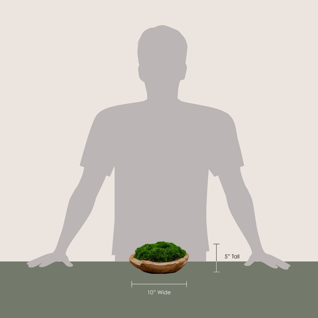 Organic Teak Bowl with Statement Moss