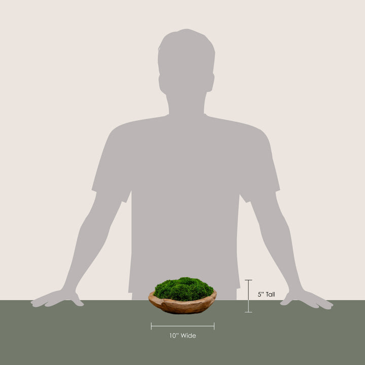 Organic Teak Bowl with Statement Moss