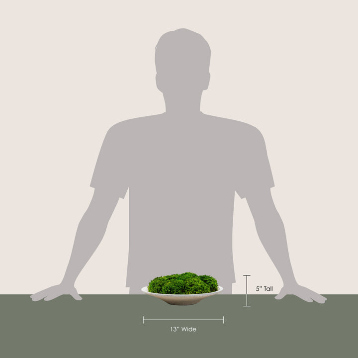 White Clay Saucer with Statement Moss