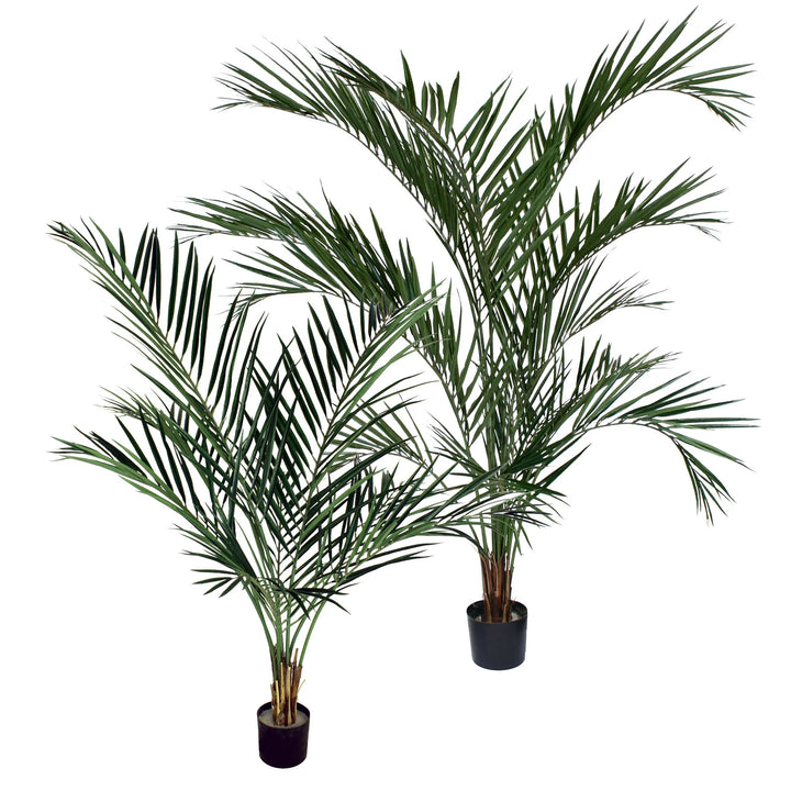 Areca Palm (Faux)