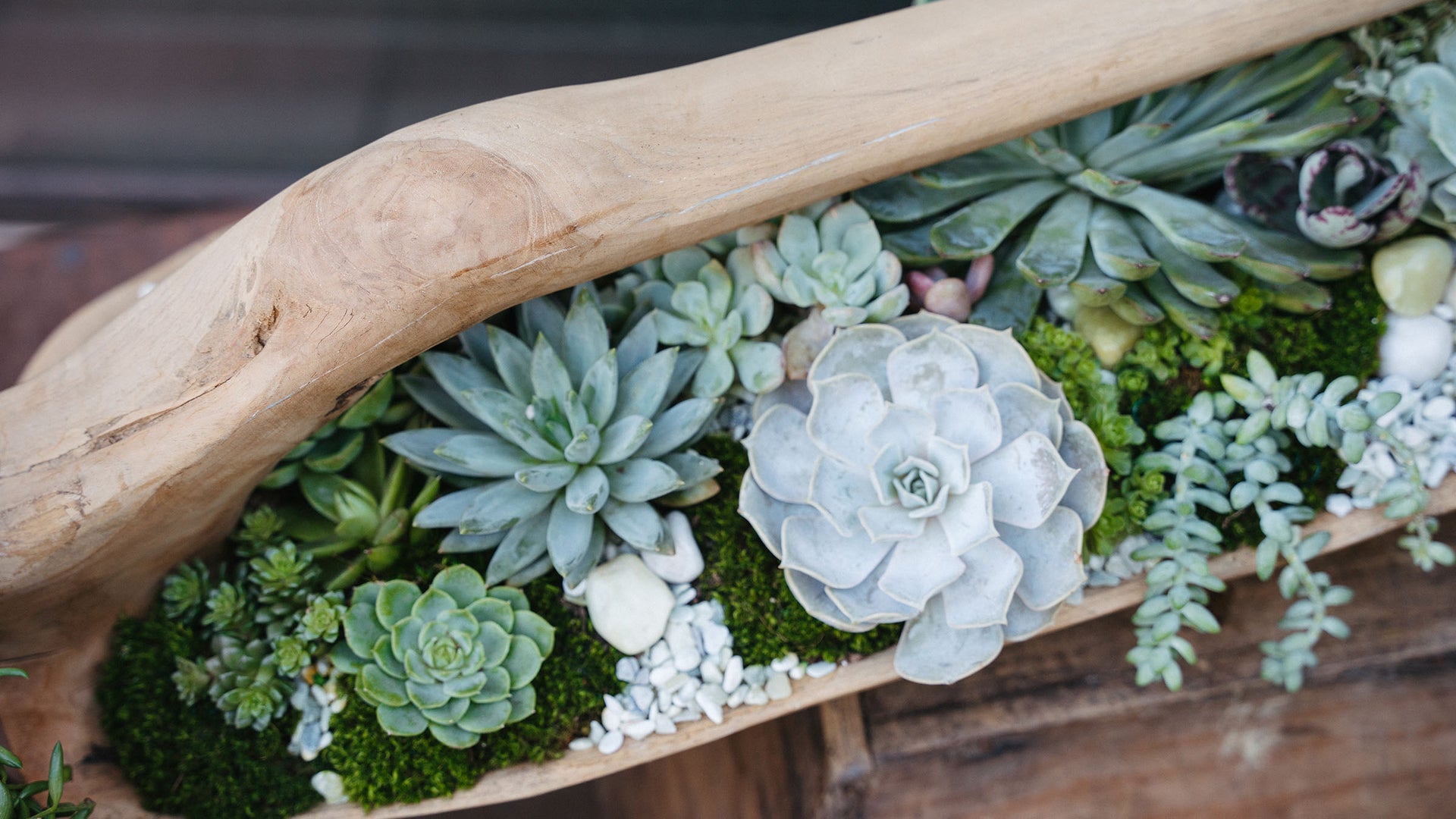 Rolling Greens Rolling Greens