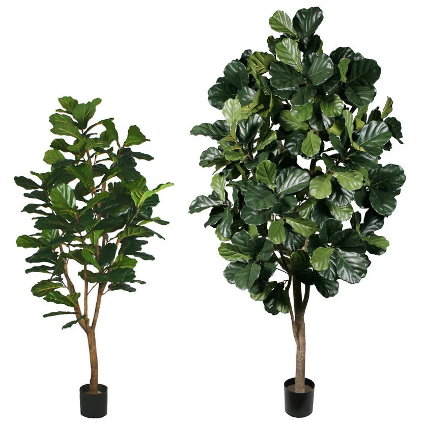 8 foot faux fiddle leaf fig tree Fiddle Leaf Fig Lollipop (Faux) 6 ft