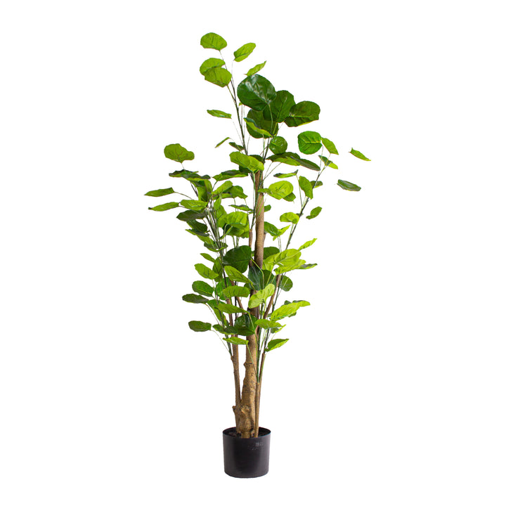 Silver Dollar Eucalyptus Tree (Faux)