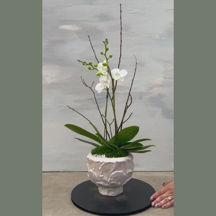 Pretty Petals Vessel with Orchids