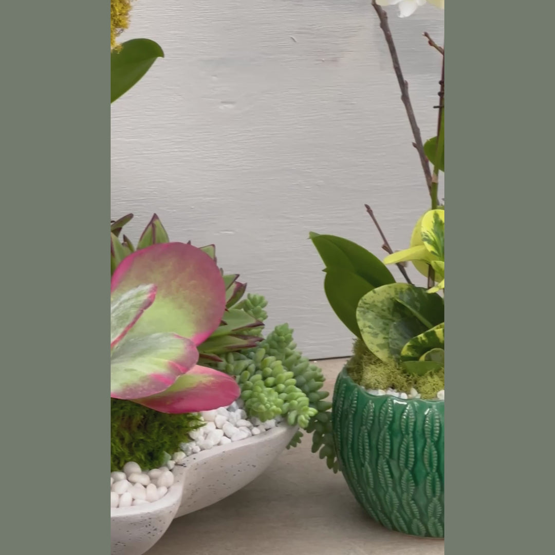 Emerald Leaf and Orchid Arrangement