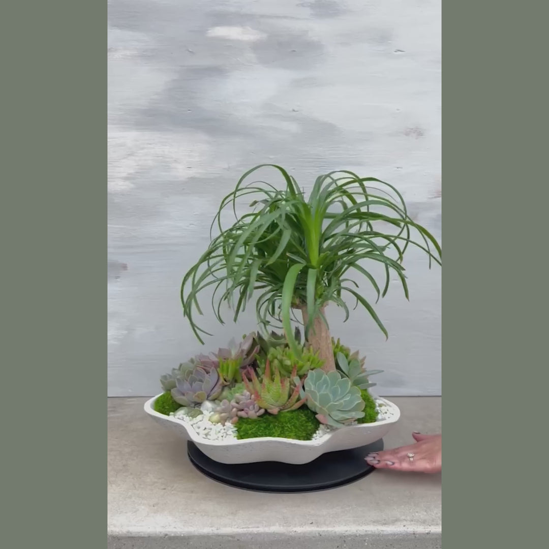Desert Oasis Arrangement